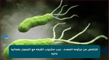 للتخلص من جرثومة المعدة.. جرب مشروب القرفة مع الليمون بفعالية عالية
